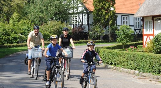 Cykelruter