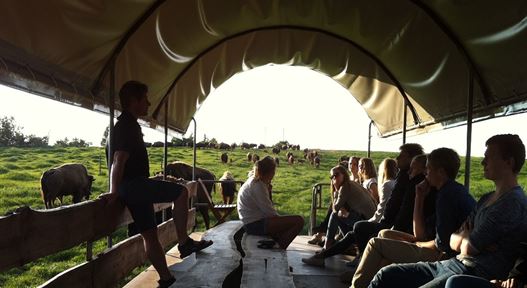 Bisonfarmen Ditlevsdal